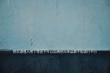 想買酒埋入地下等若干年以后再挖出來品嘗不知道行不行