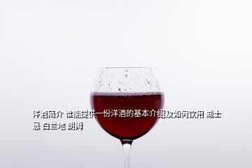 洋酒簡(jiǎn)介 誰(shuí)能提供一份洋酒的基本介紹及如何飲用 威士忌 白蘭地 朗姆
