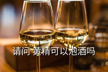請問 黃精可以泡酒嗎