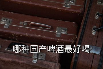 哪種國產(chǎn)啤酒最好喝