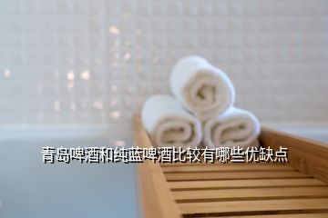 青島啤酒和純藍(lán)啤酒比較有哪些優(yōu)缺點(diǎn)