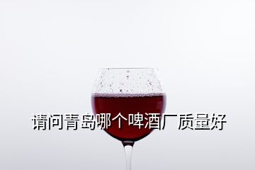 請(qǐng)問青島哪個(gè)啤酒廠質(zhì)量好