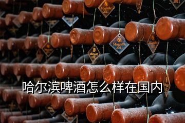 哈爾濱啤酒怎么樣在國(guó)內(nèi)