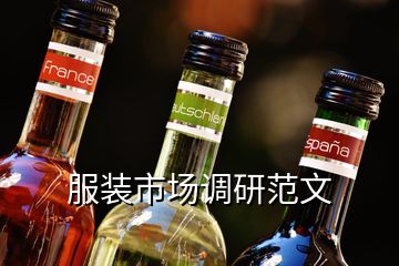 服裝市場調(diào)研范文