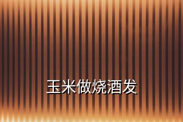 玉米做燒酒發(fā)