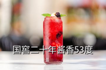 國窖二十年醬香53度