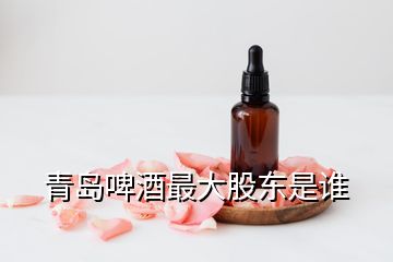 青島啤酒最大股東是誰(shuí)