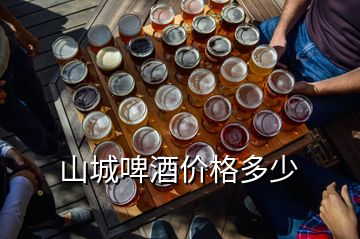 山城啤酒價(jià)格多少