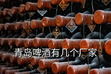 青島啤酒有幾個(gè)廠家