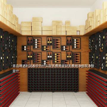 青島啤酒利潤(rùn)表中為什么財(cái)務(wù)費(fèi)用是財(cái)務(wù)費(fèi)用凈額啊凈額是什