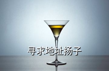 尋求地址揚子
