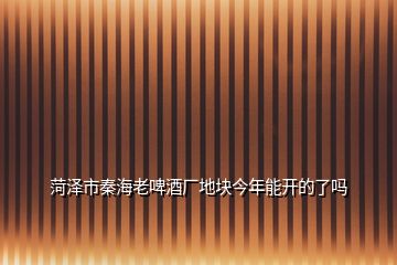 菏澤市秦海老啤酒廠地塊今年能開(kāi)的了嗎