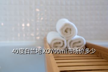 40度白蘭地 XO700ml市場(chǎng)價(jià)多少