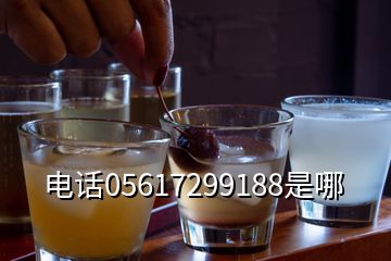 電話(huà)05617299188是哪
