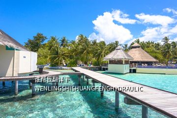 誰幫我翻譯下WENLINGSHISHUANGFENGHYDRAULIC