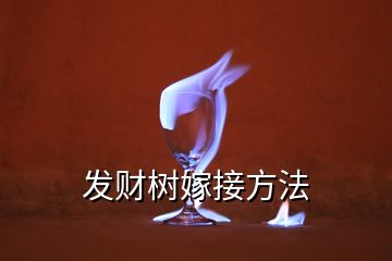 發(fā)財樹嫁接方法