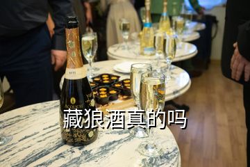 藏狼酒真的嗎