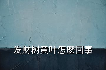 發(fā)財(cái)樹(shù)黃葉怎麼回事