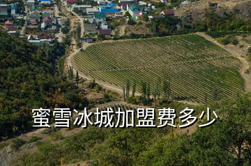 蜜雪冰城加盟費多少