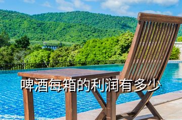 啤酒每箱的利潤(rùn)有多少