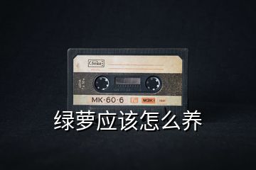 綠蘿應該怎么養(yǎng)