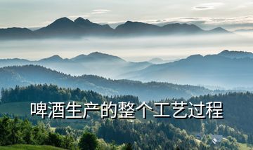 啤酒生產(chǎn)的整個(gè)工藝過程