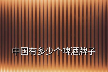 中國有多少個啤酒牌子