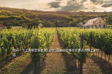 想問(wèn)一下上海哪里有賣(mài)進(jìn)口的紅酒最好價(jià)格也實(shí)惠點(diǎn)的網(wǎng)上買(mǎi)紅酒
