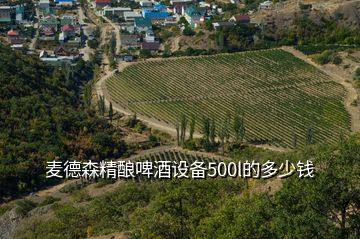 麥德森精釀啤酒設備500l的多少錢