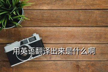 用英語(yǔ)翻譯出來(lái)是什么啊