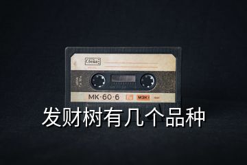 發(fā)財樹有幾個品種