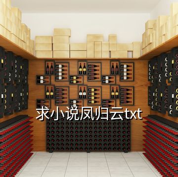 求小說鳳歸云txt