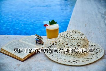 風(fēng)信子的養(yǎng)殖方法與注意事項(xiàng)有哪些