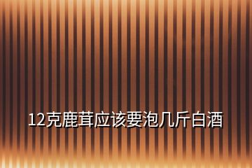 12克鹿茸應該要泡幾斤白酒