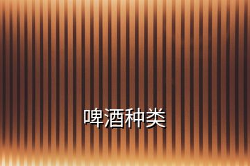 啤酒種類(lèi)