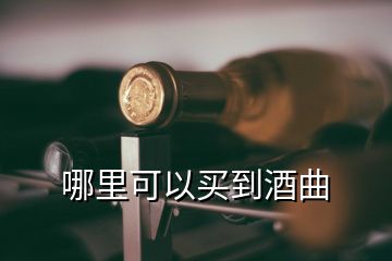 哪里可以買(mǎi)到酒曲