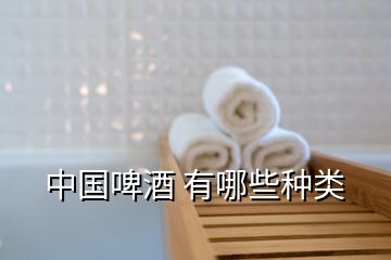 中國(guó)啤酒 有哪些種類