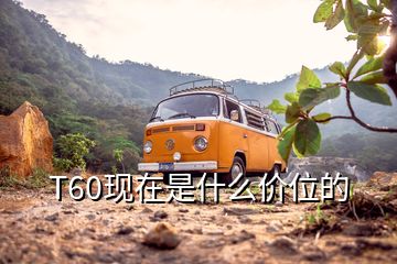 T60現(xiàn)在是什么價位的