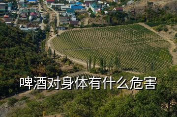 啤酒對(duì)身體有什么危害