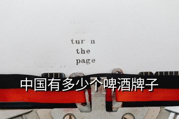 中國有多少個(gè)啤酒牌子
