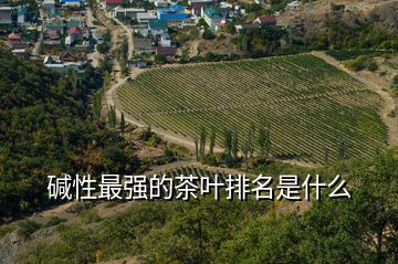 堿性最強的茶葉排名是什么