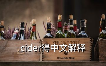cider得中文解釋