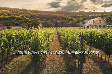 汾酒集團(tuán)下邊有多少牌子的酒比如一壇香百家老根之類的