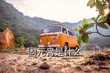 固元膏是什么