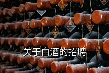 關(guān)于白酒的招聘
