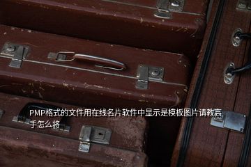 PMP格式的文件用在線名片軟件中顯示是模板圖片請教高手怎么將