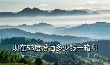 現(xiàn)在53度汾酒多少錢一箱啊