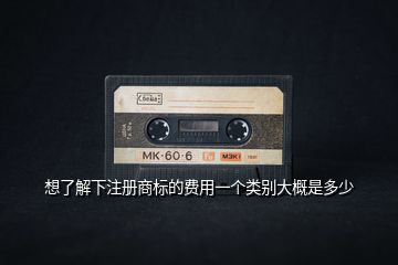 想了解下注冊商標(biāo)的費用一個類別大概是多少