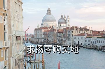求揚(yáng)琴購買地