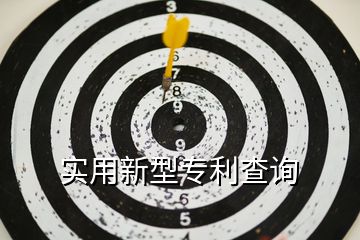 實(shí)用新型專利查詢